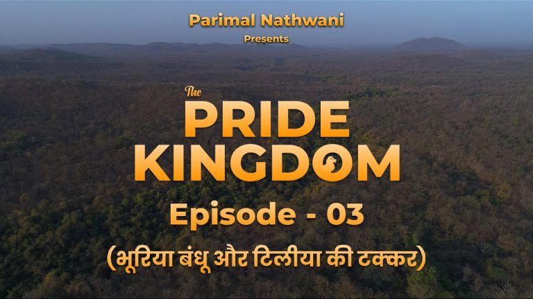 The Pride Kingdom – Episode 3