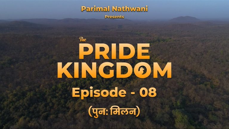 The Pride Kingdom – Episode8