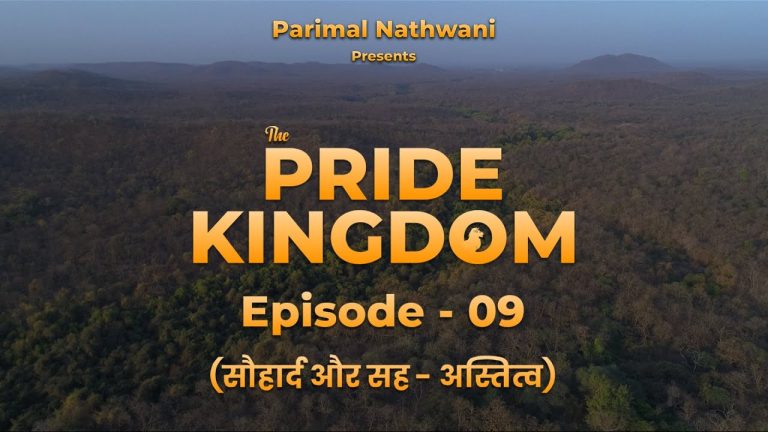 The Pride Kingdom – Episode 9