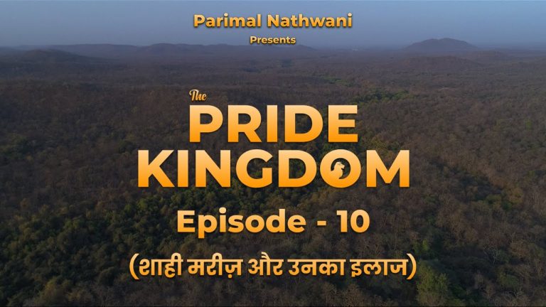 The Pride Kingdom – Episode 10