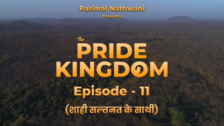 The Pride Kingdom – Episode 11