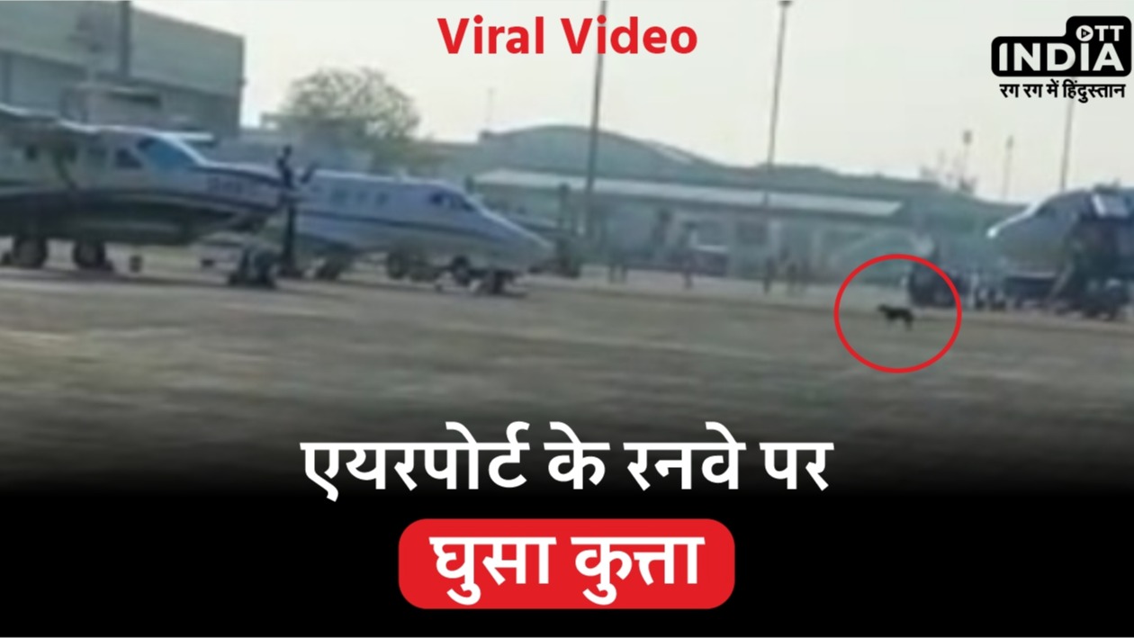 ऑस्ट्रेलियाई PM Anthony Albanese के आने से पहले Ahmedabad Airport के Runway पर घुसा कुत्ता