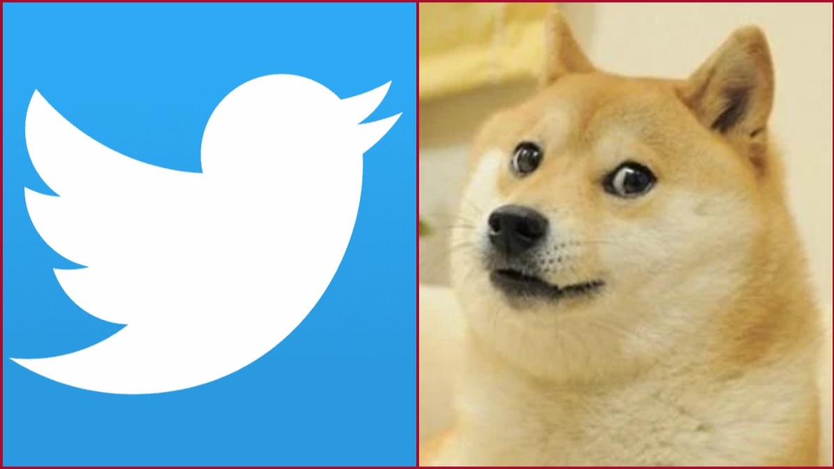 नीली चिड़िया हटाकर Elon Musk ने ‘डॉगी’ को बनाया ट्विटर का नया logo, social media पर memes की बौछार