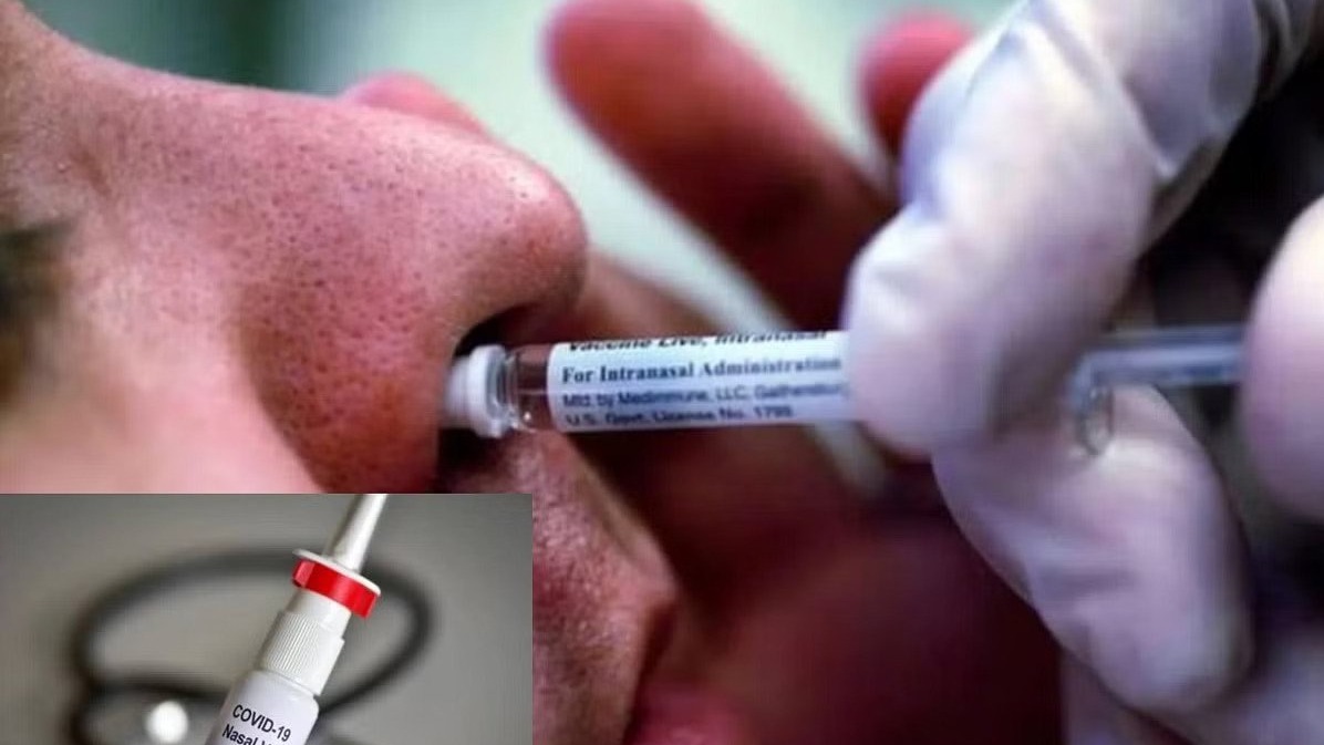 Nasal Vaccine को मिली सरकार मंजूरी, कहां और कौन लगवा सकता है?