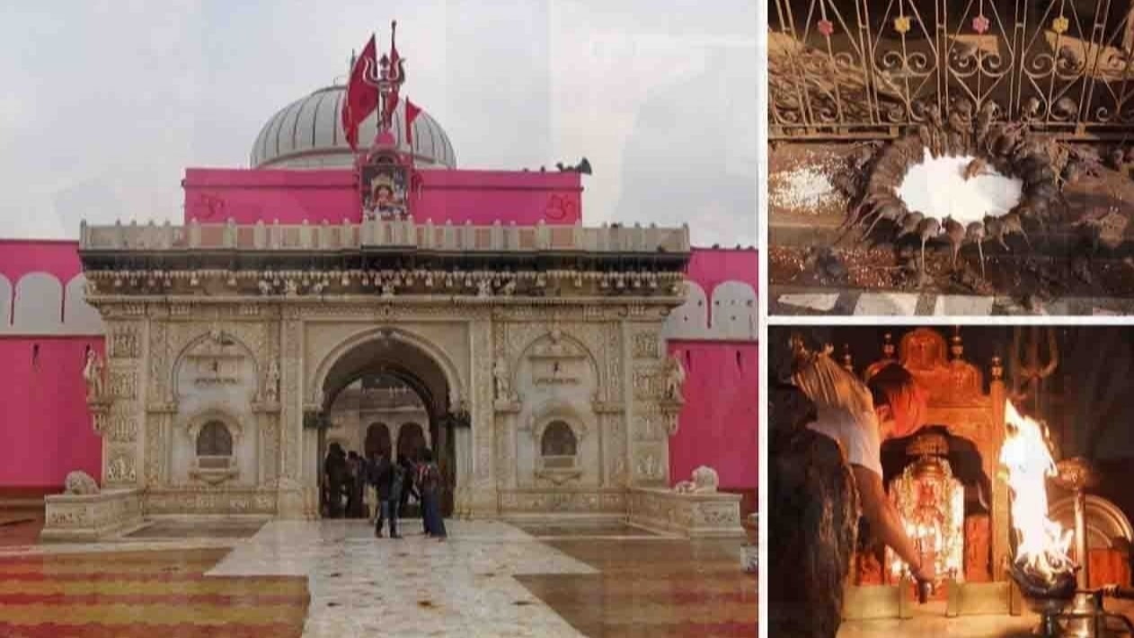 राजस्थान के बीकानेर में मौजूद है करणी माता का रहस्यमयी मंदिर, जहां रहते हैं 20 हजार से ज्यादा चूहे