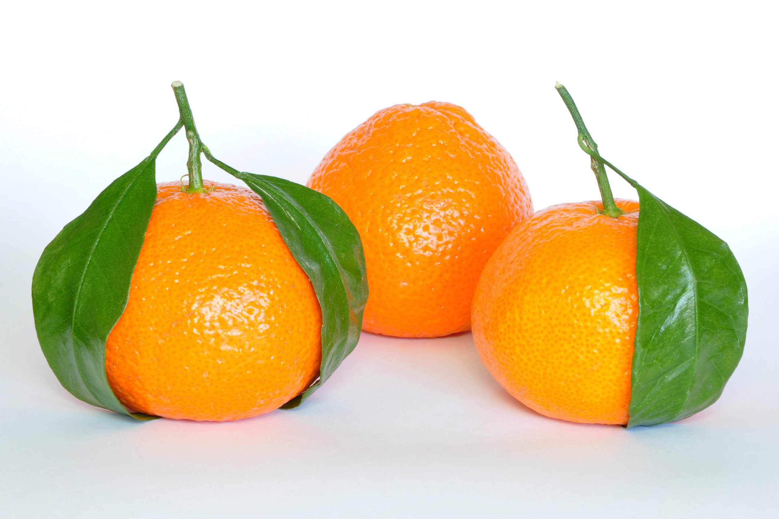 संतरा (फल) - विकिपीडिया