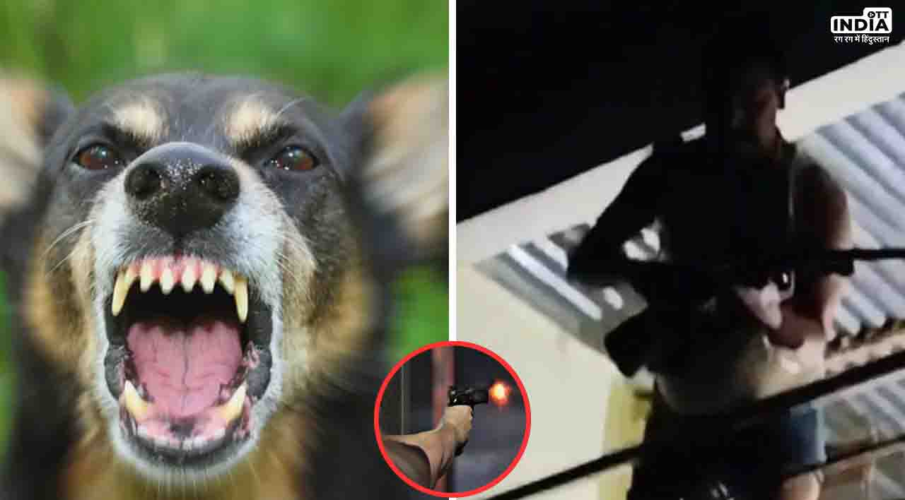Indore Guard Firing Video: कुत्ते को लेकर हुआ झगड़ा तो गोलियों से भून डाला, 2 की मौत, 7 घायल