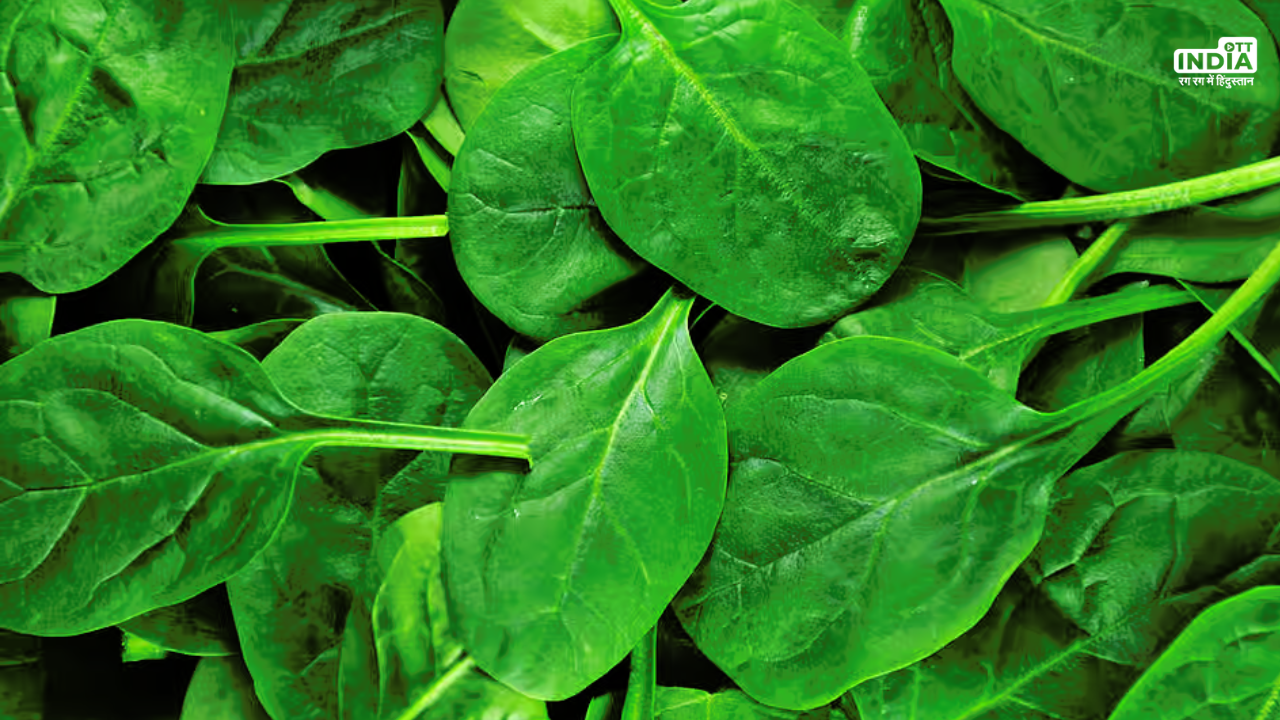 Spinach Benefits: सर्दियों में पालक जरूर खाएं, Vitamins का है खजाना