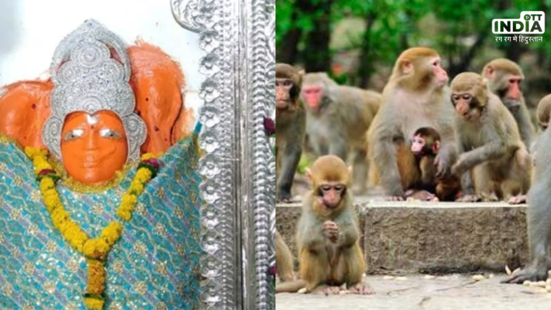 Jabalpur Hanuman Temple: बजरंगबली का एक ऐसा चमत्कारी मंदिर, जहां हनुमान चालीसा सुनने आते है बंदर