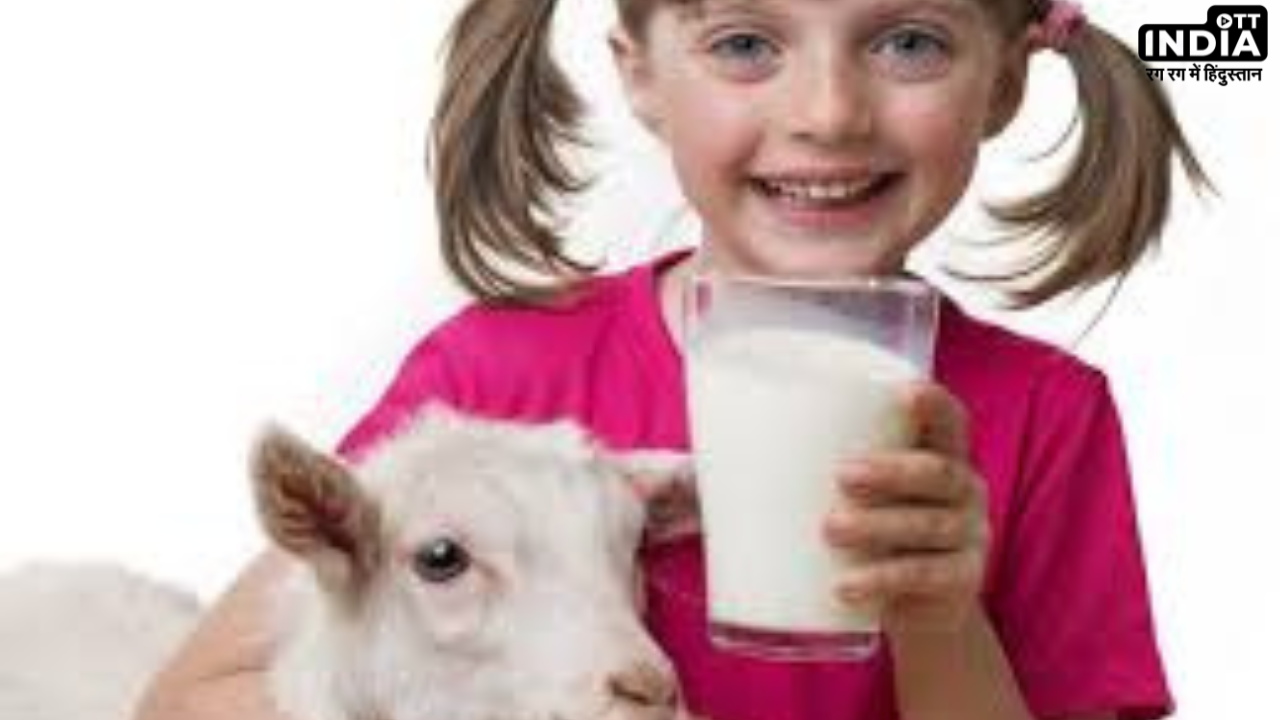 Goat Milk Benefits: बकरी का दूध किसी दवा से नहीं है कम, गाय के दूध से भी ज्यादा होती है ताकत