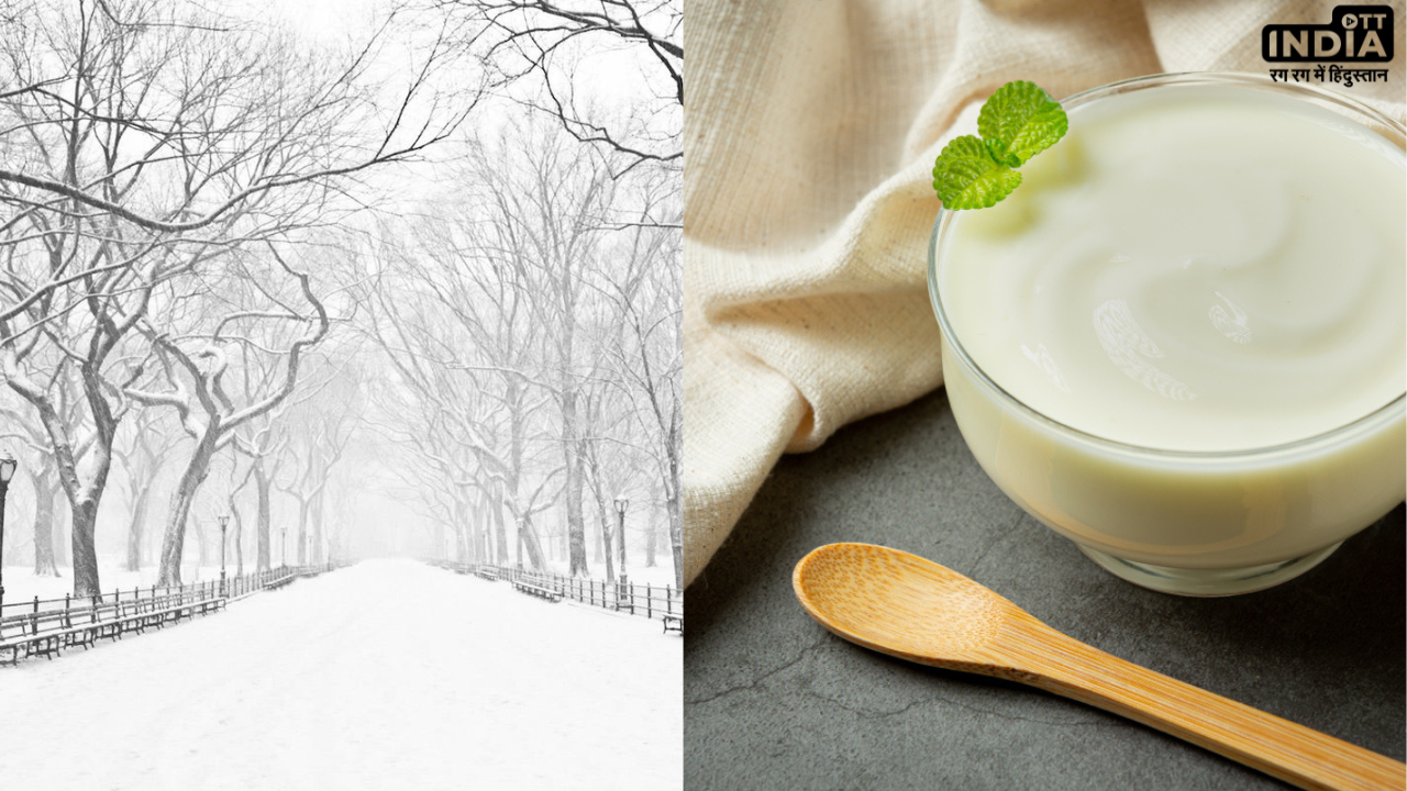 Curd In Winter: सर्दियों में दही खाना कितना उचित? जानिये इससे जुड़े सभी मिथक