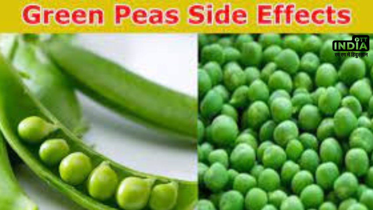 Green Peas Side Effects:  सावधान ! हरा मटर भी कर सकता है आपको बीमार , जानिये किन लोगों को नहीं करना चाहिए इसका सेवन