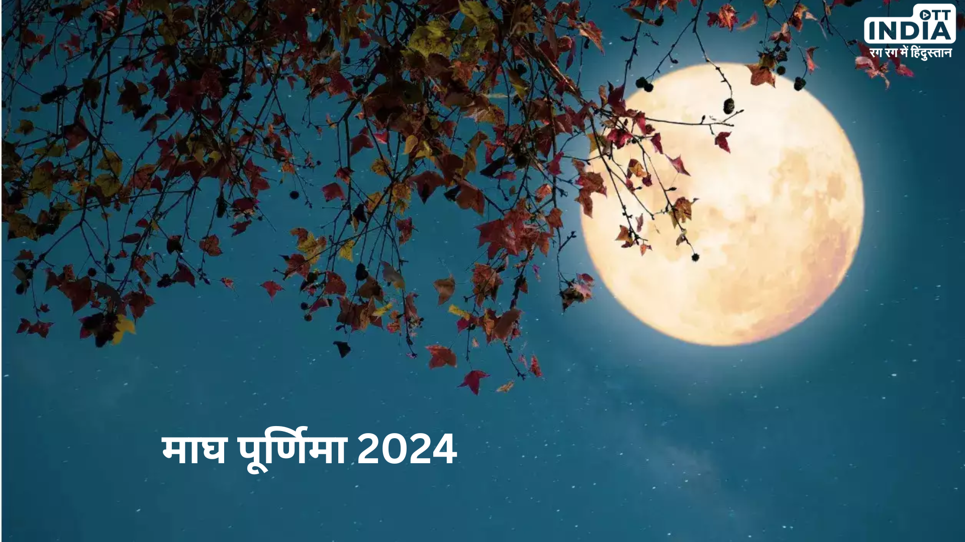 Magh Purnima 2024: माघ पूर्णिमा के दिन इस विधि से करें पूजा और पढ़ें ये व्रत कथा, दूर होंगे सभी कष्ट