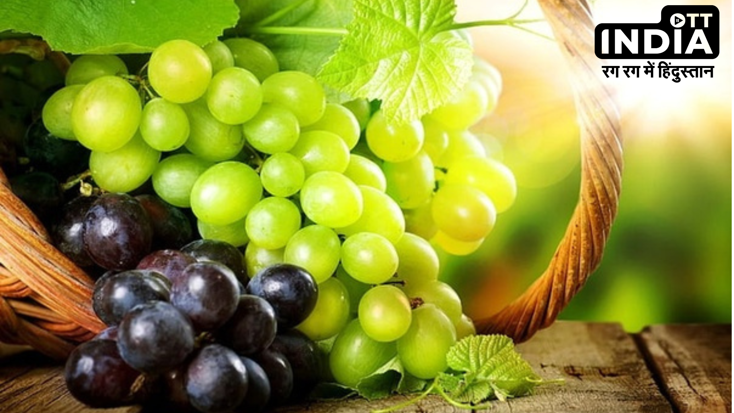 Black Grapes Vs Green Grapes: काले या हरे अंगूर, किसमें है ज्यादा पोषक तत्व, यहाँ जानें सबकुछ