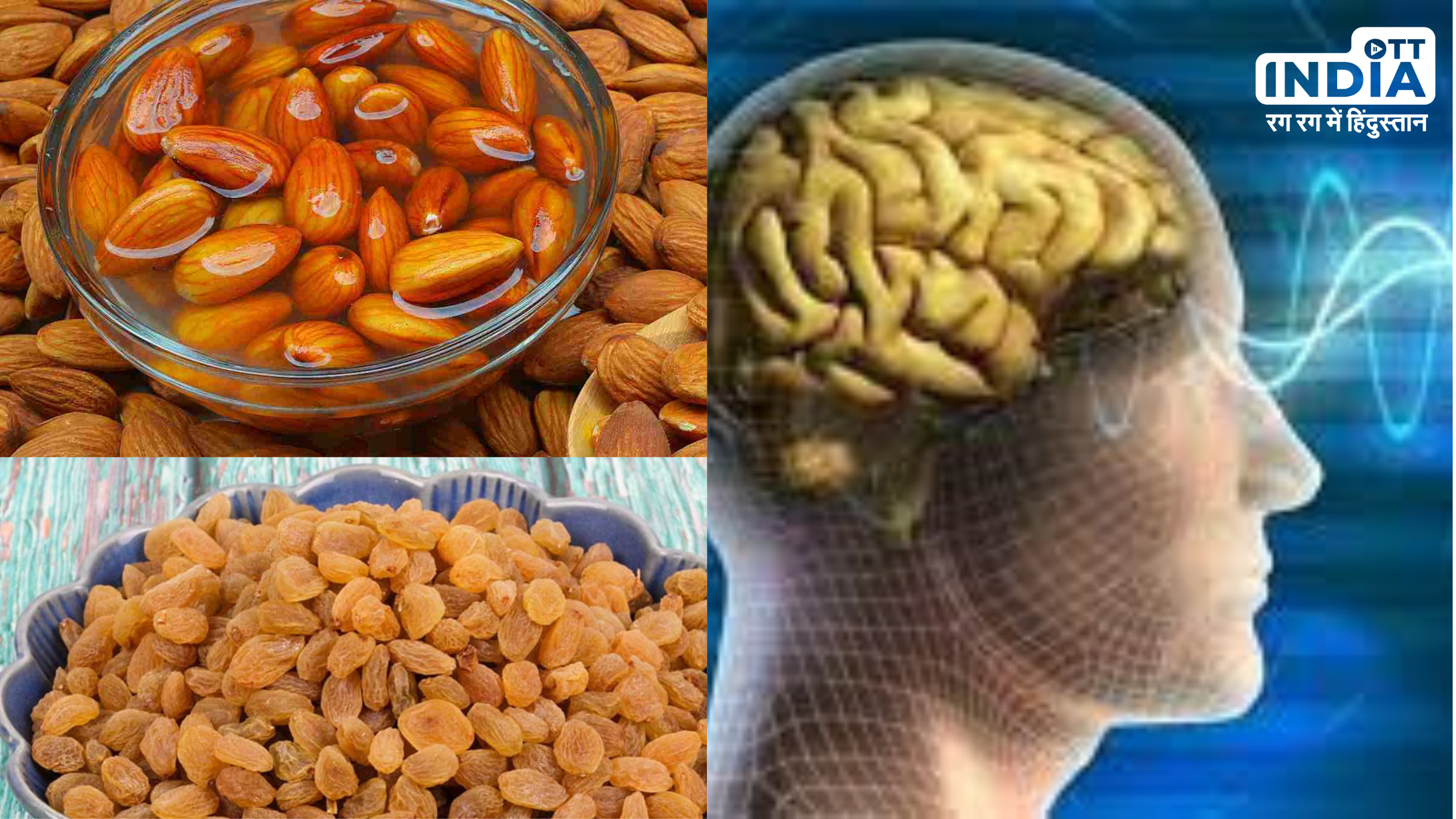Dry Fruits For Brain: चाहिए हाथी जैसी याददाश्त तो खाइये ये 7 ड्राई फ्रूट्स, दिमाग बनेगा तेज़