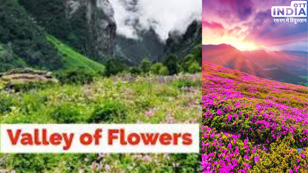Valley of Flowers Uttarakhand: मार्च के महीने में जरूर घूमें वैली ऑफ़ फ्लावर्स, हो जाएँगे तरोताज़ा