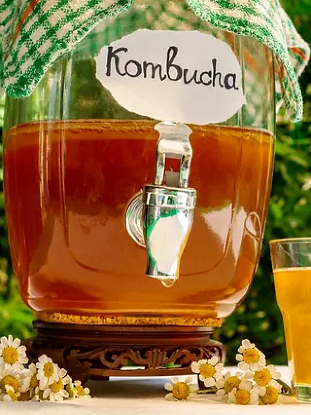 Kombucha Tea: जानें इस फर्मेन्टेड और प्रोबॉयोटिक ड्रिंक्स के फायदे
