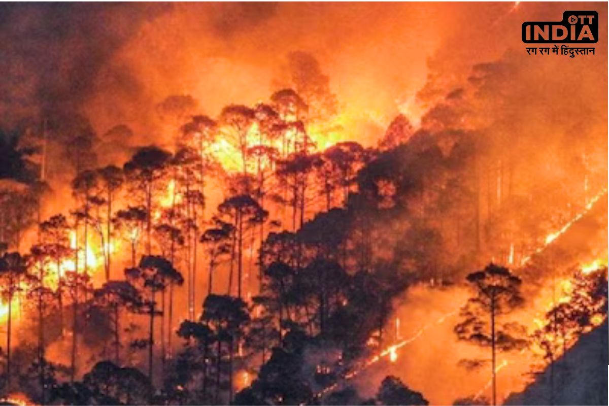 Uttarakhand Forests Fire : देवभूमि के जंगलों में 4 दिन से धधक रही आग, सेना कर रही बुझाने के प्रयास, नासा की भी नजर