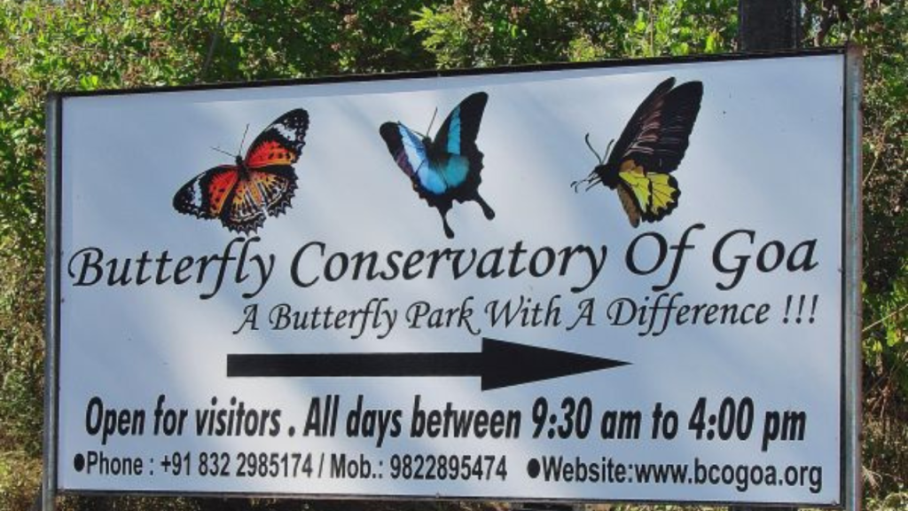 Butterfly Parks in India
