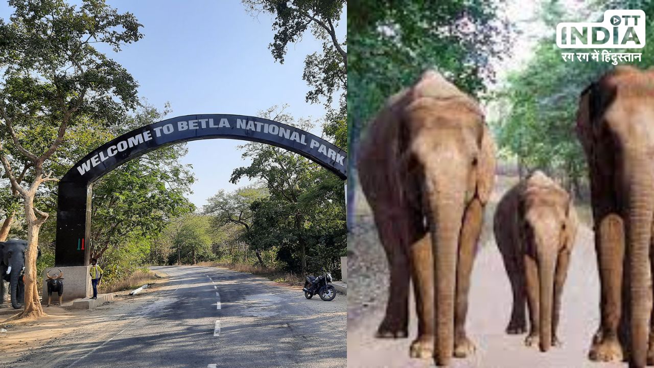 Betla National Park: झारखण्ड का यह एकमात्र नेशनल पार्क जंगली हाथी और बाघों के लिए है प्रसिद्ध, एक बार जरूर जाएँ