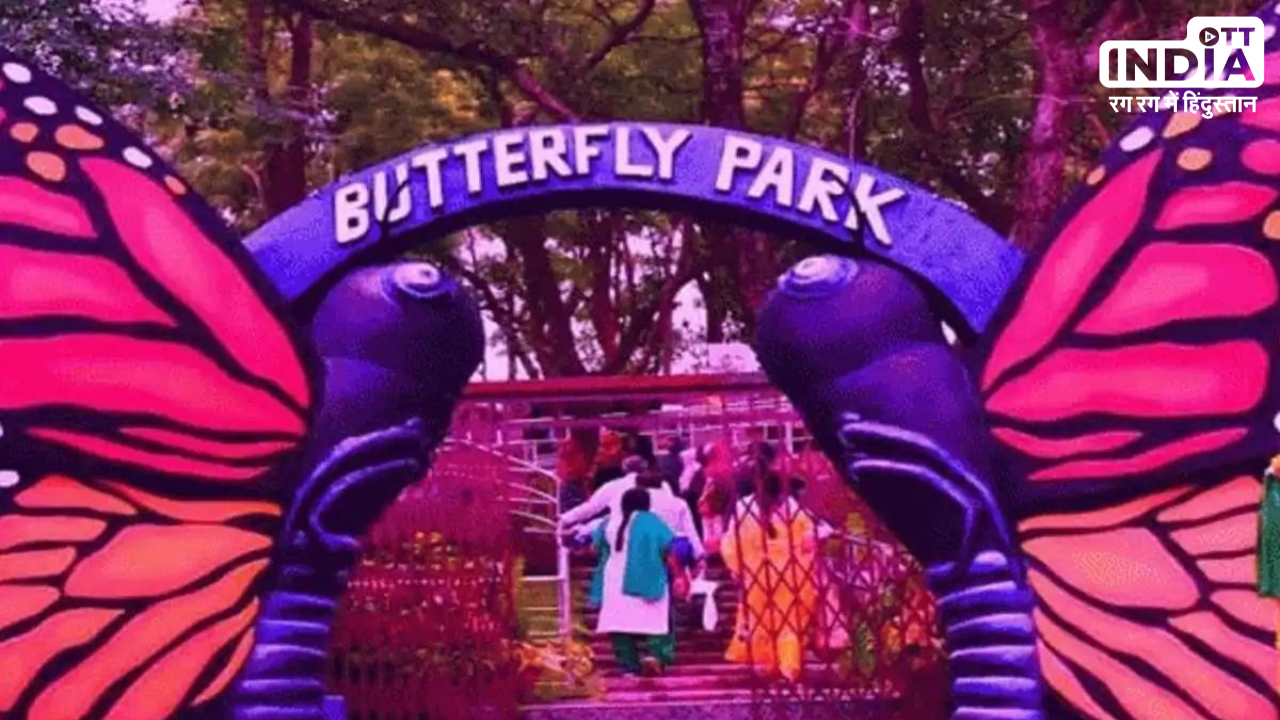 Butterfly Parks in India: ये हैं भारत के पांच सबसे खूबसूरत बटरफ्लाई पार्क, एक बार जरूर घूमें
