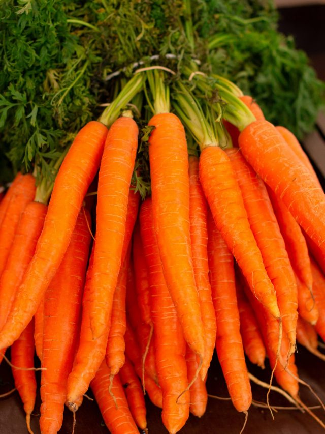 विश्व गाजर दिवस पर जानें गाजर के गुण, जो सेहत के लिए हैं ख़ास!