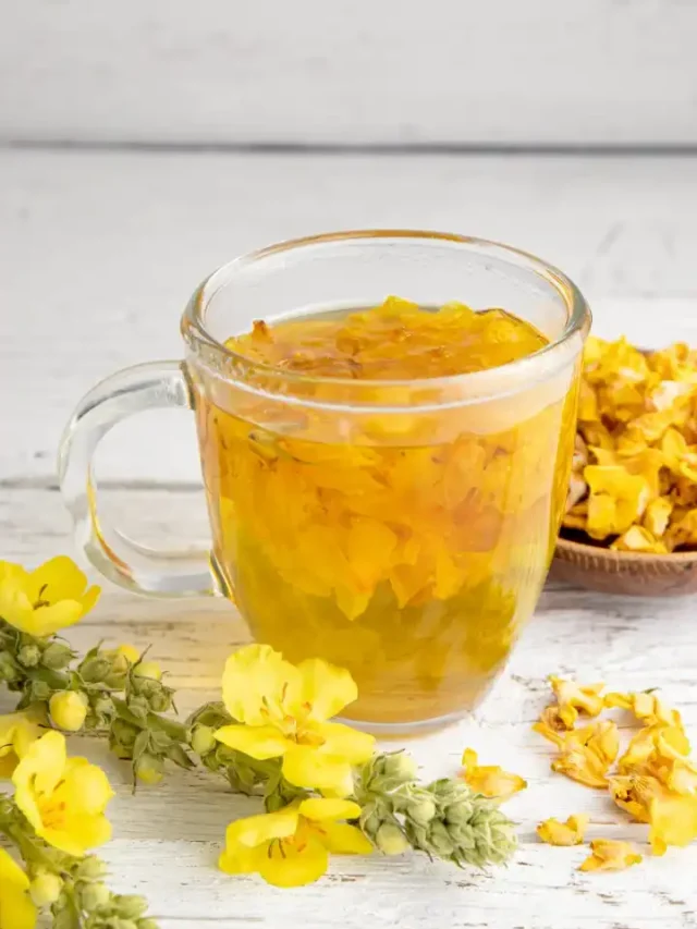 Mullein Tea Benefits: जानिये क्या है मुल्लेन चाय और इसके अनिगनत फायदे